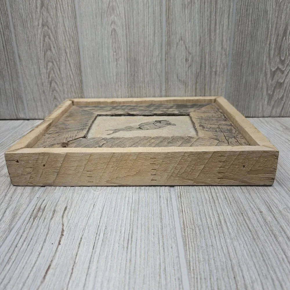 Knightia Fossil Fish Fossil In‎ Hand Made Reclaimed Wooden Frame 10
